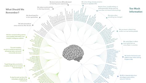 thebiaslist|list of human biases.